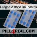 Dragon À Base De Plantes 20